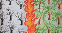 Alp Arslan <br />(7 Yaş)